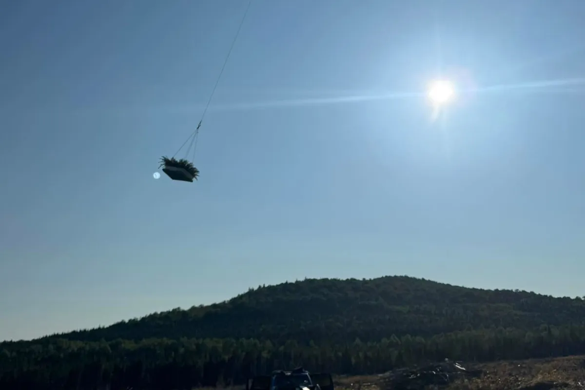 Transport de plants forestiers par drone